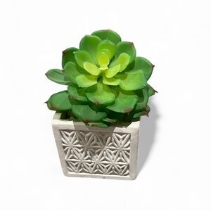 Faux Succulent in Small Ceramic Planter